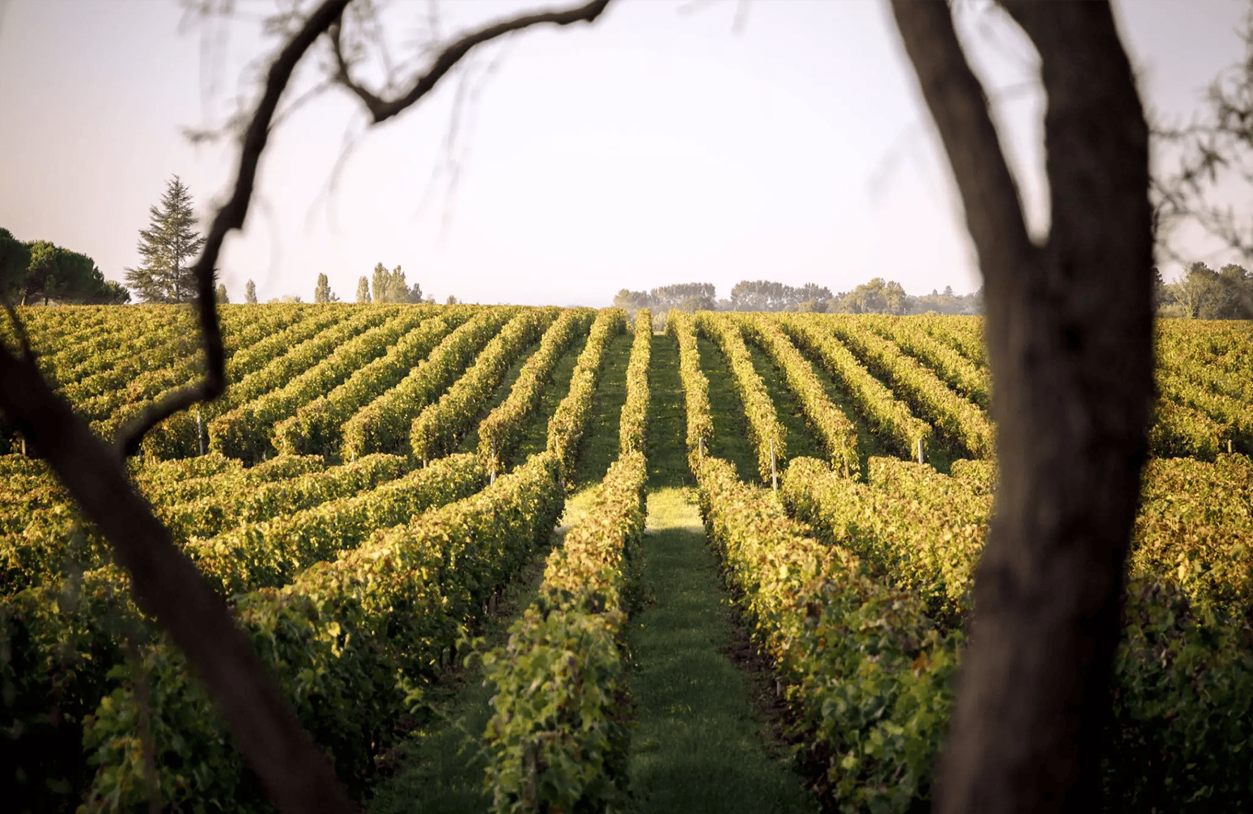 l’histoire du Château Duhart-Milon