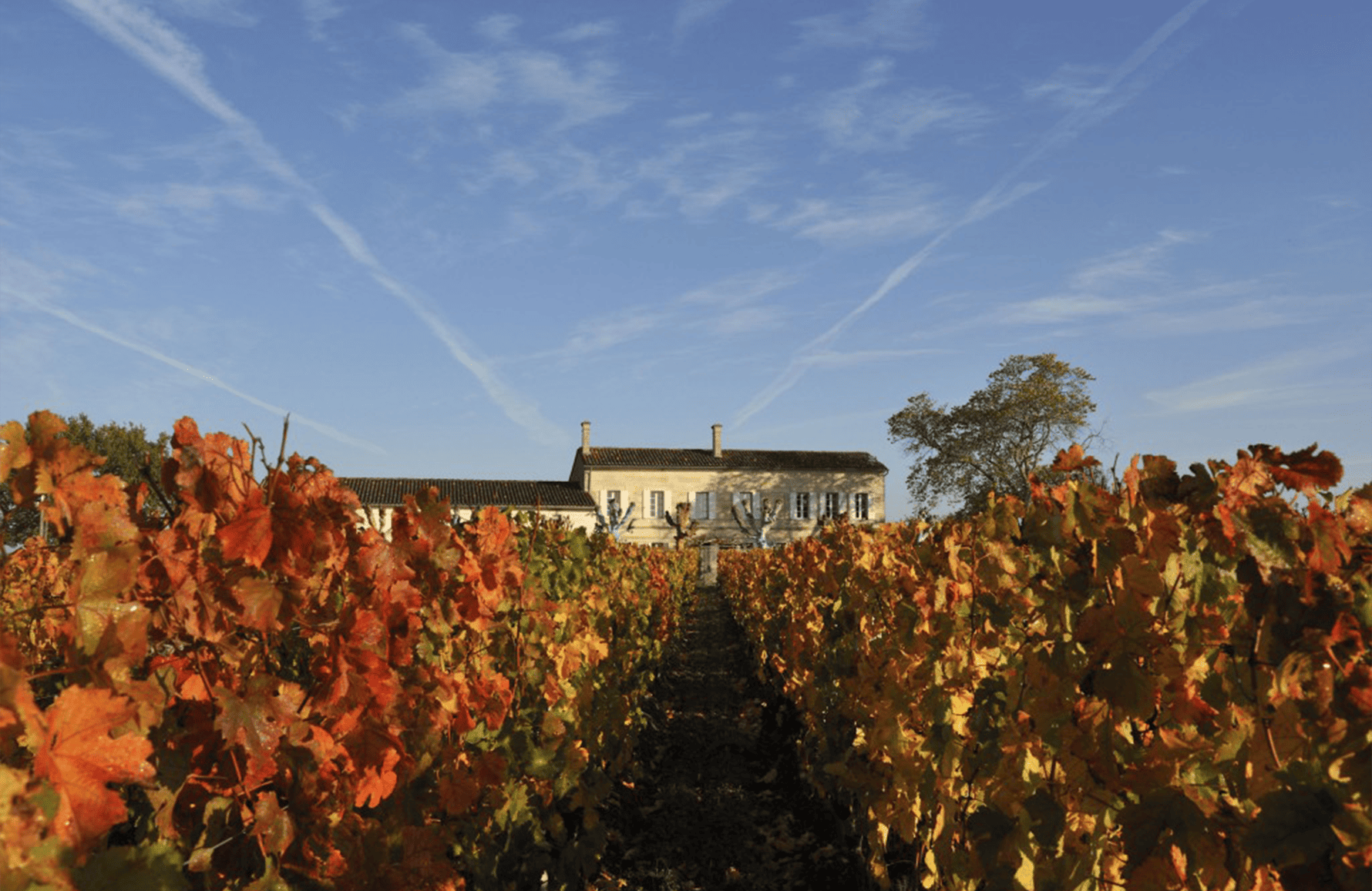 the story of Château l'Eglise-Clinet