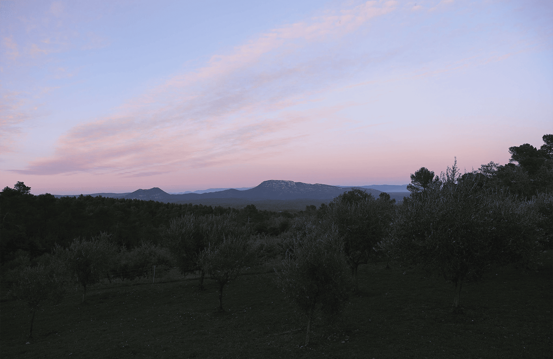 l’histoire du Château Miraval