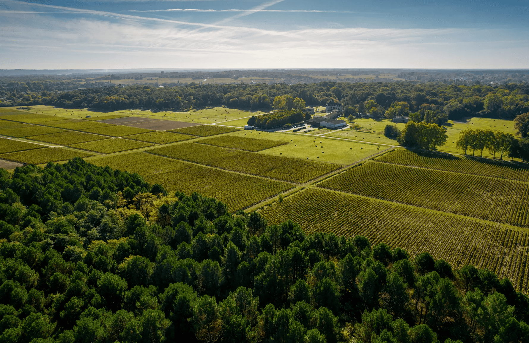 the story of Château Olivier