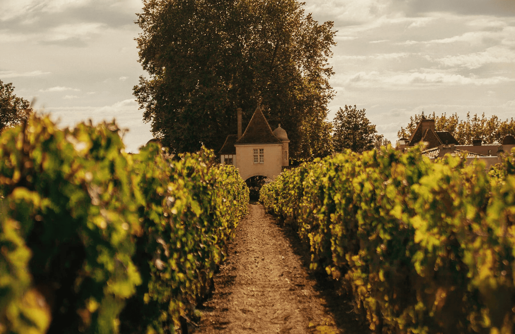 the story of Château Rauzan-Ségla