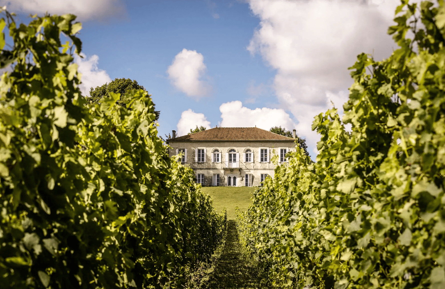 l’histoire du Château Reysson
