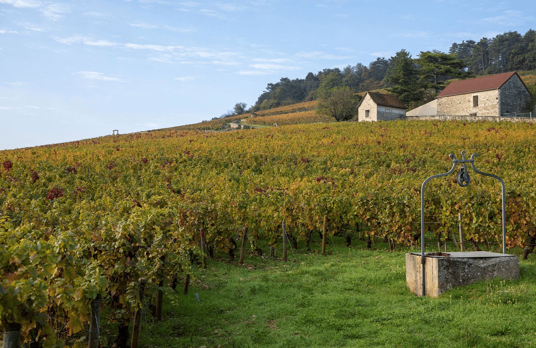 the story of Domaine des Lambrays