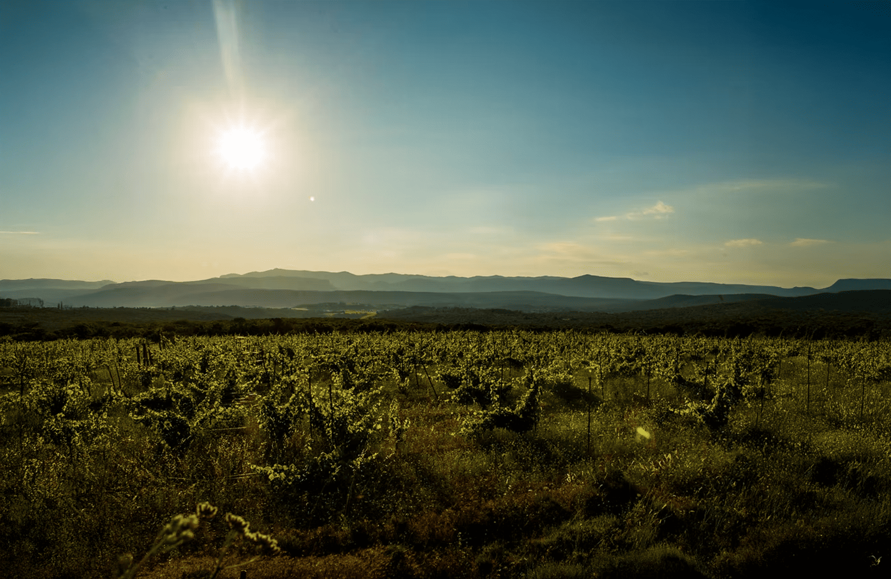l’histoire du Mas des Agrunelles
