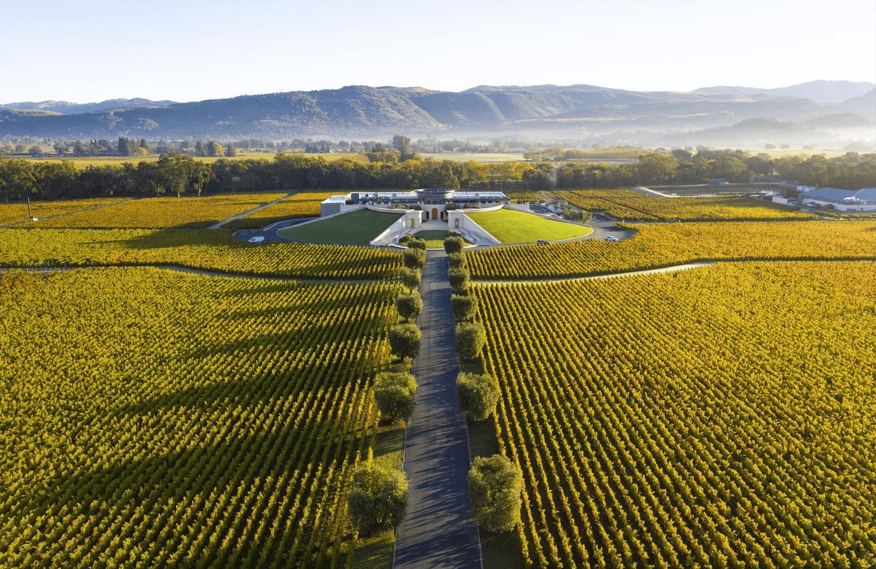 the story of Opus One - United States
