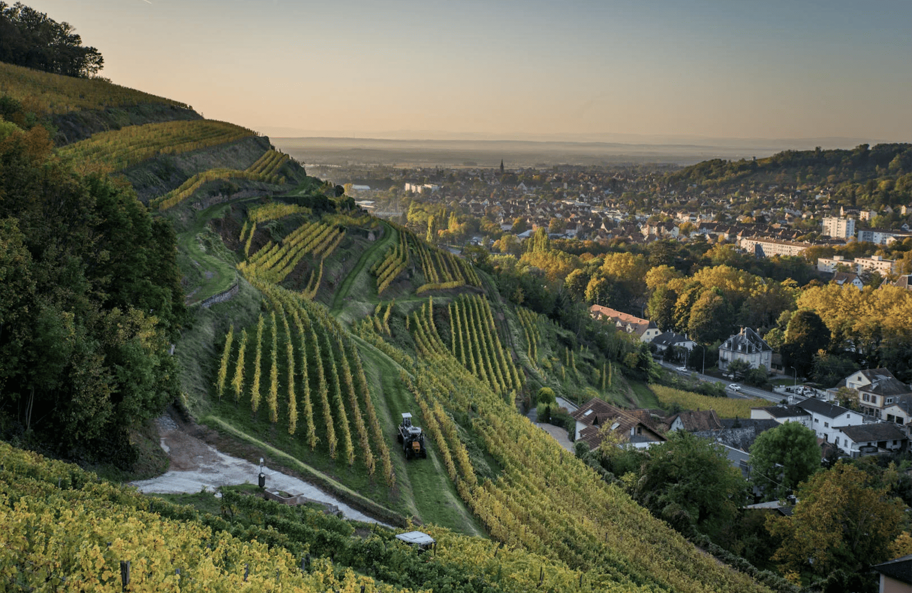 Domaine Schlumberger
