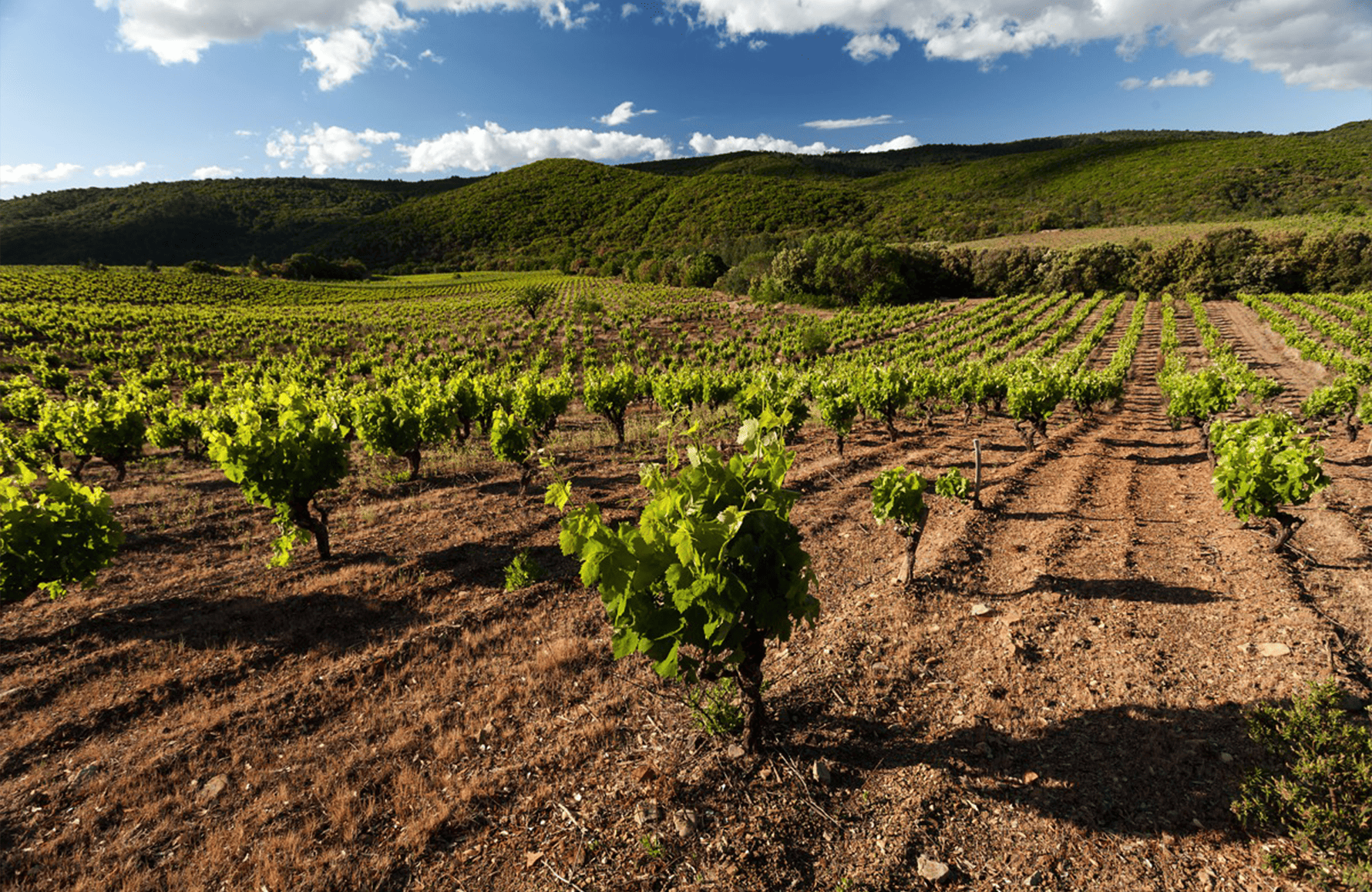 Clos Bagatelle