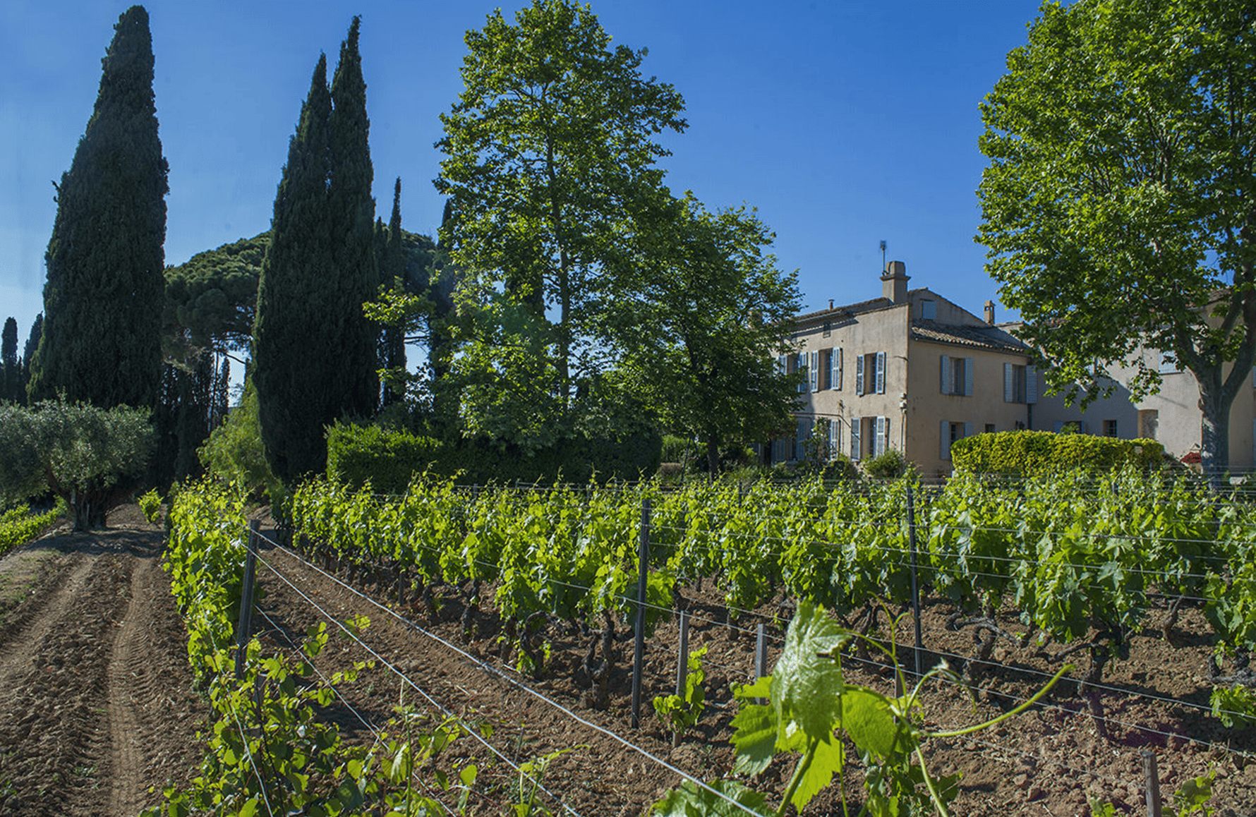 Domaine Tempier