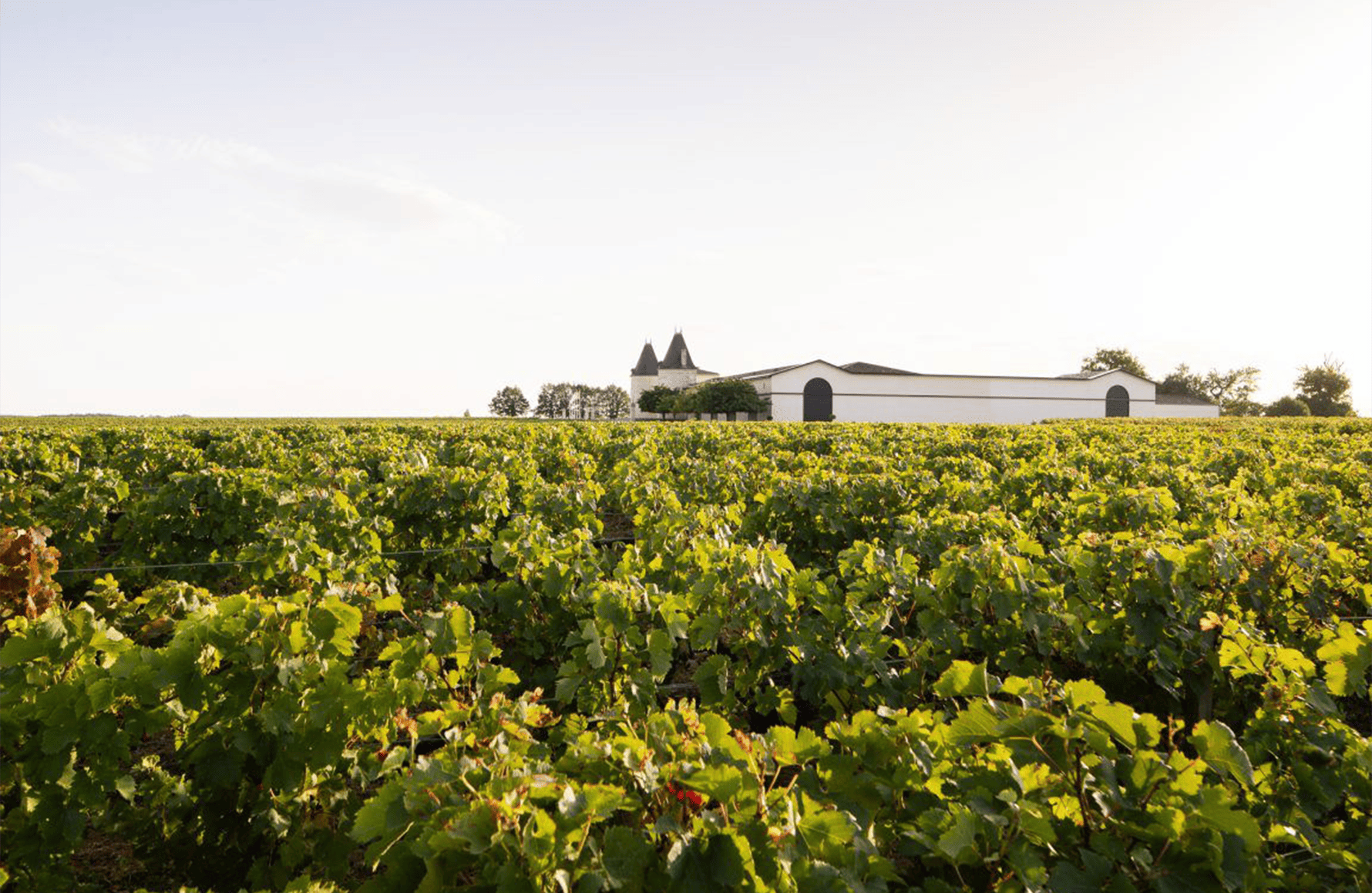 Château Lilian Ladouys
