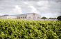 Château Clerc Milon