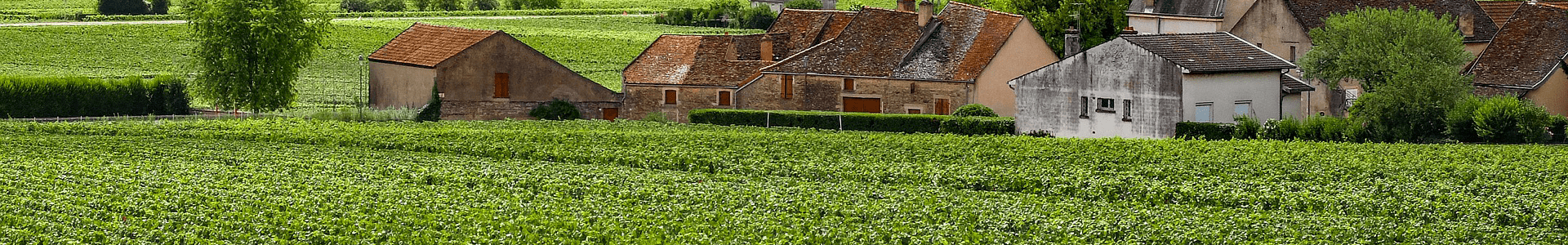 Domaine Sylvain Pataille