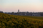 Domaine Henri Gouges