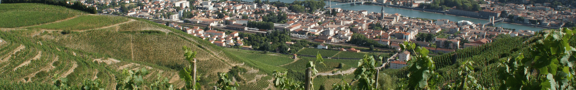 Domaine Combier