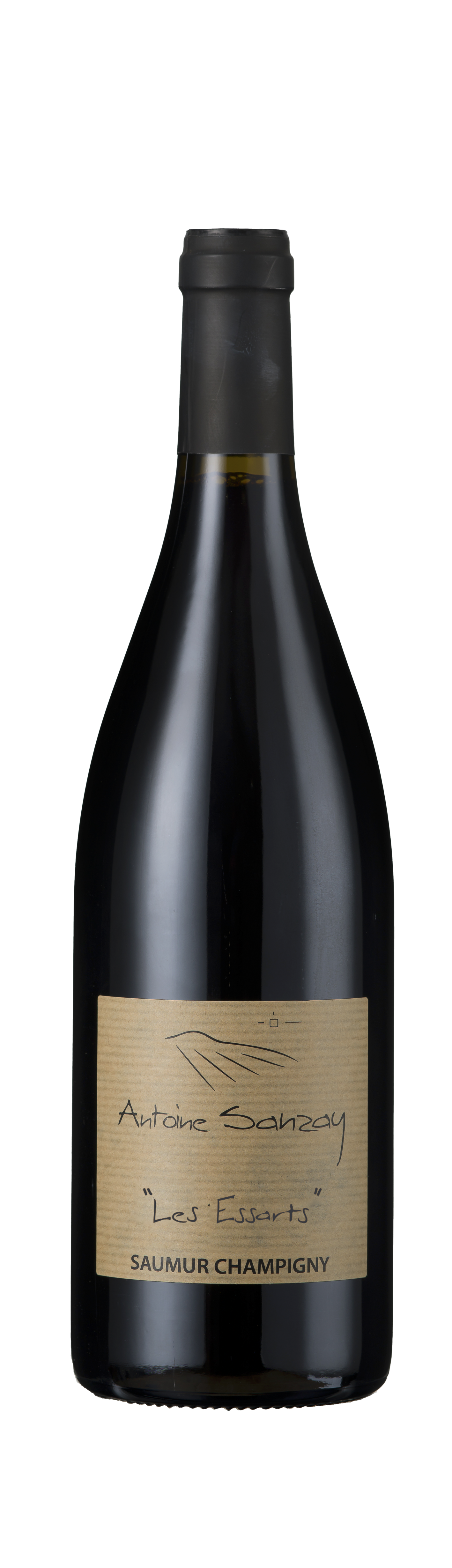 Domaine Antoine Sanzay - Les Essarts 2021 - Saumur
