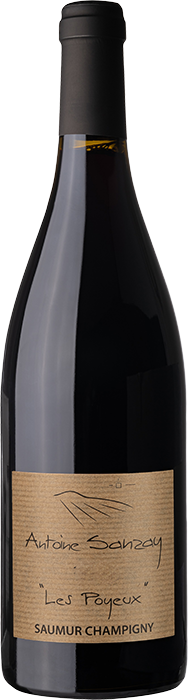 Domaine Antoine Sanzay - Les Poyeux 2019 - Saumur Champigny