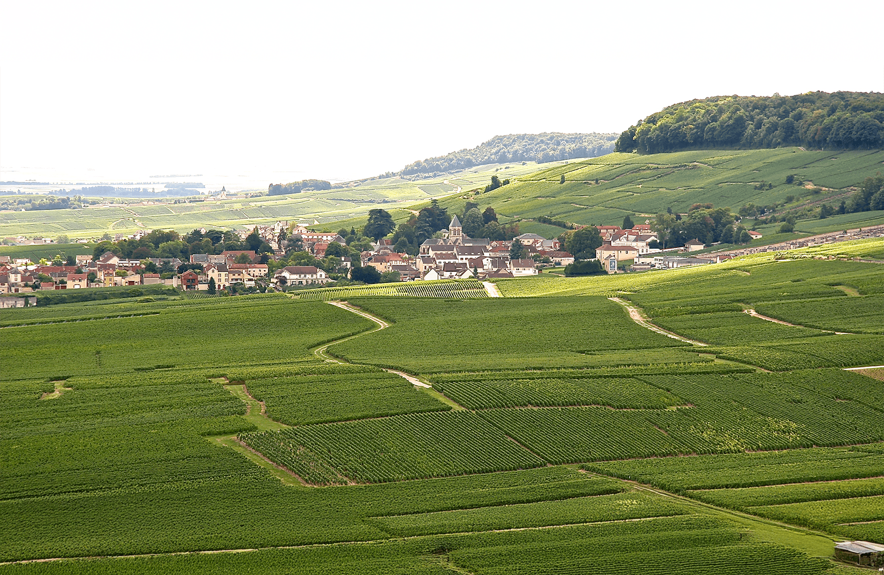 the story of Champagne De Sousa