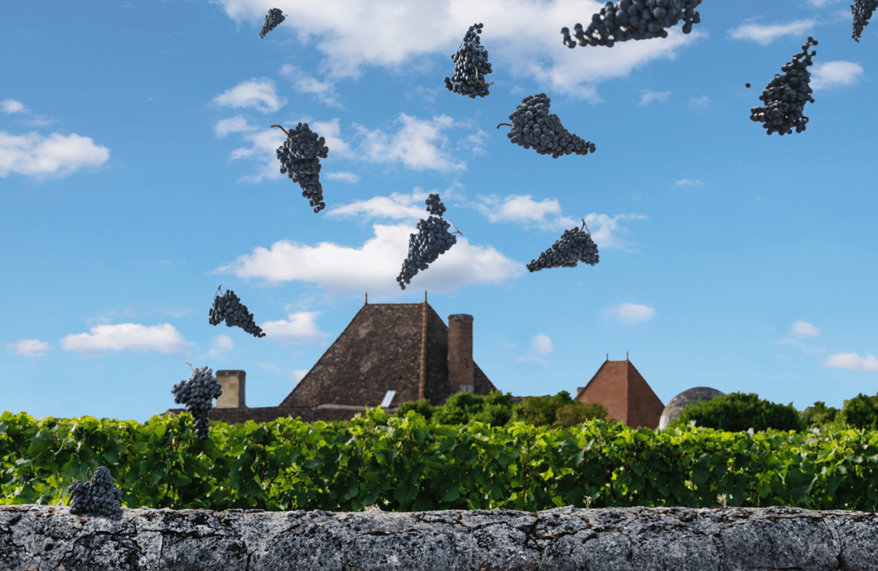 the story of Château Bélair-Monange