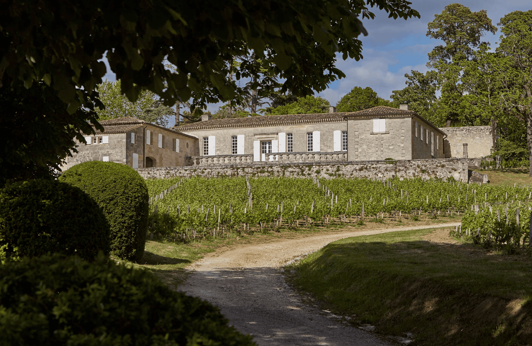 l’histoire du Château Bellevue