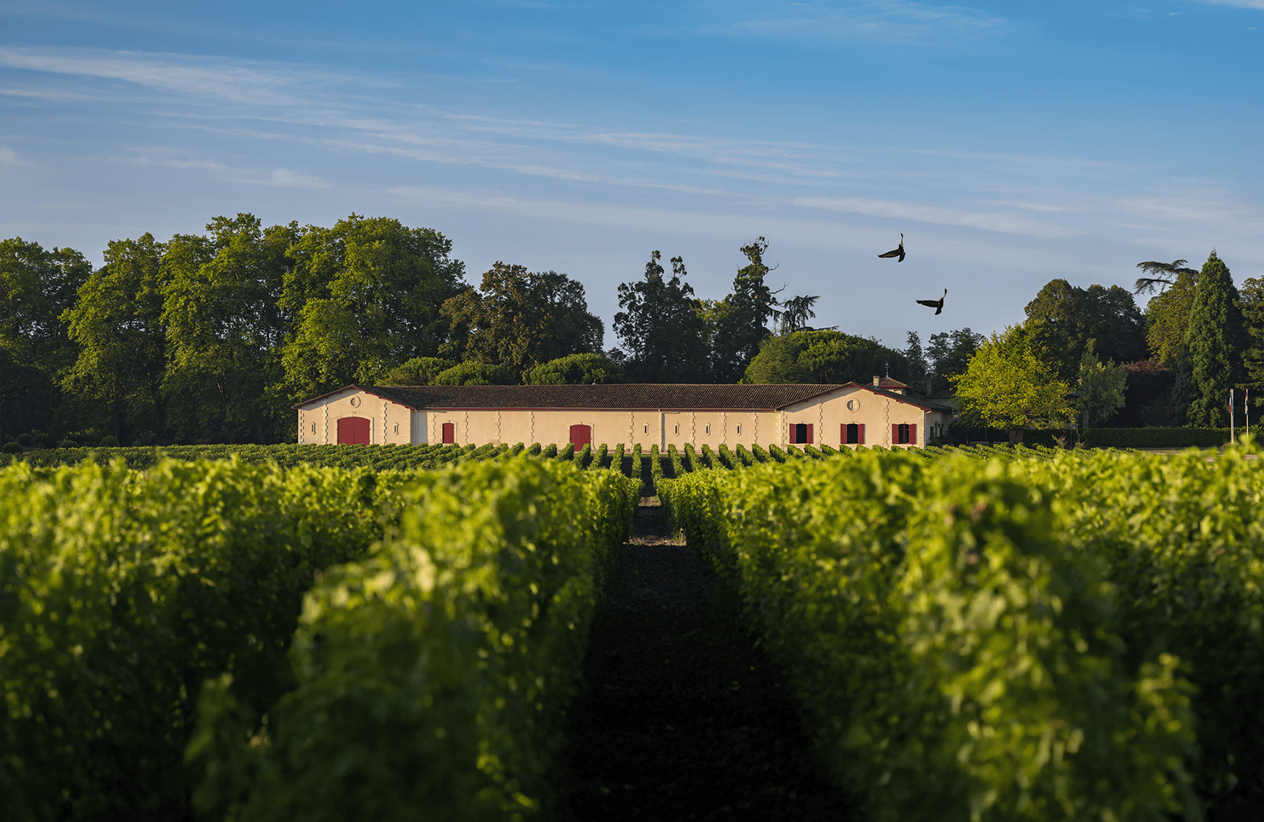 l’histoire du Château Brown