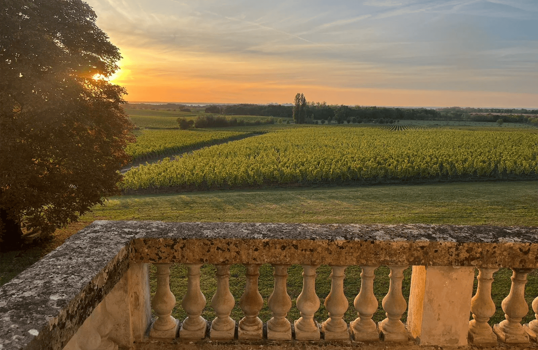 the story of Château Charmail