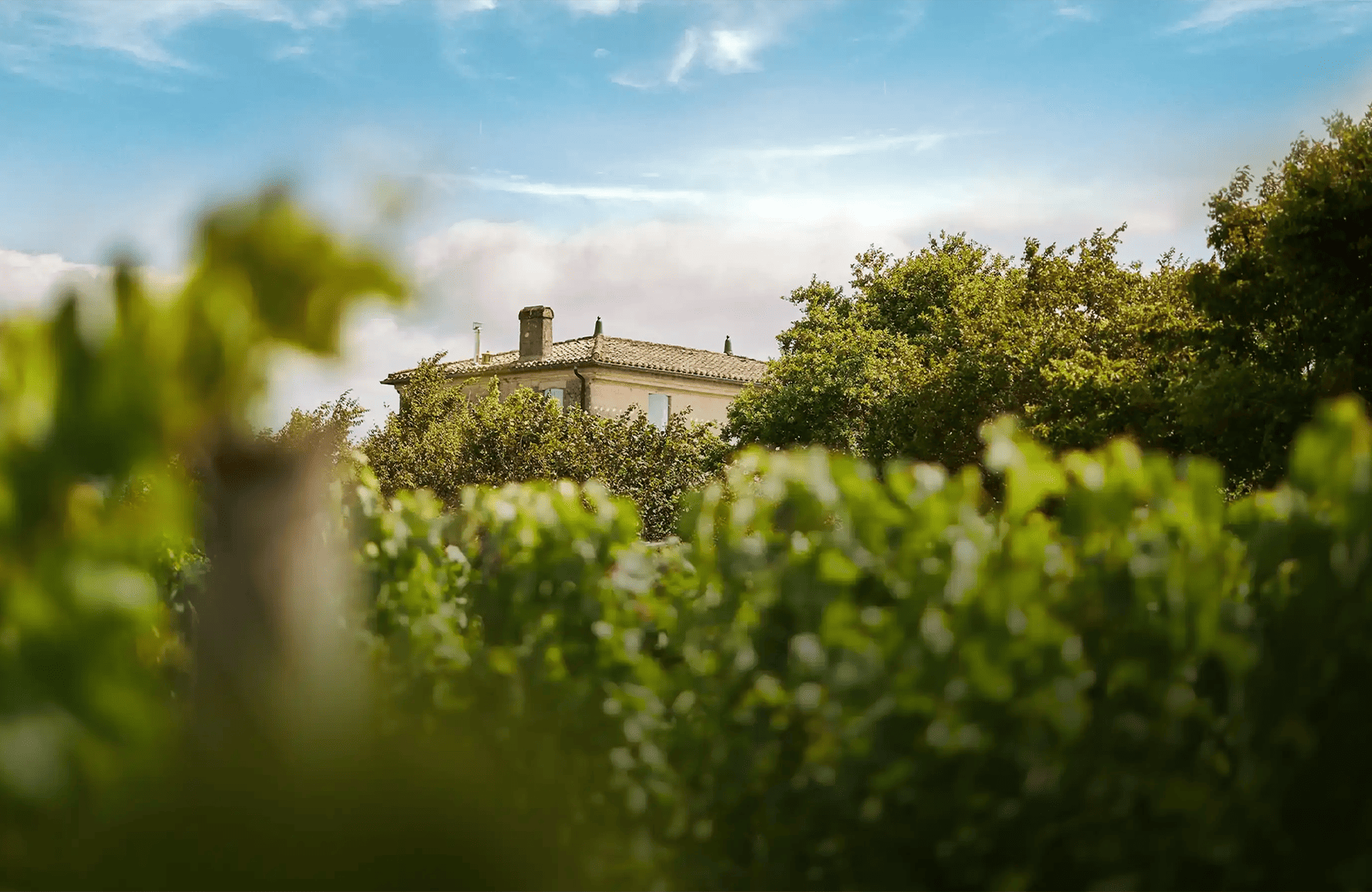 l’histoire du Château de Fonbel