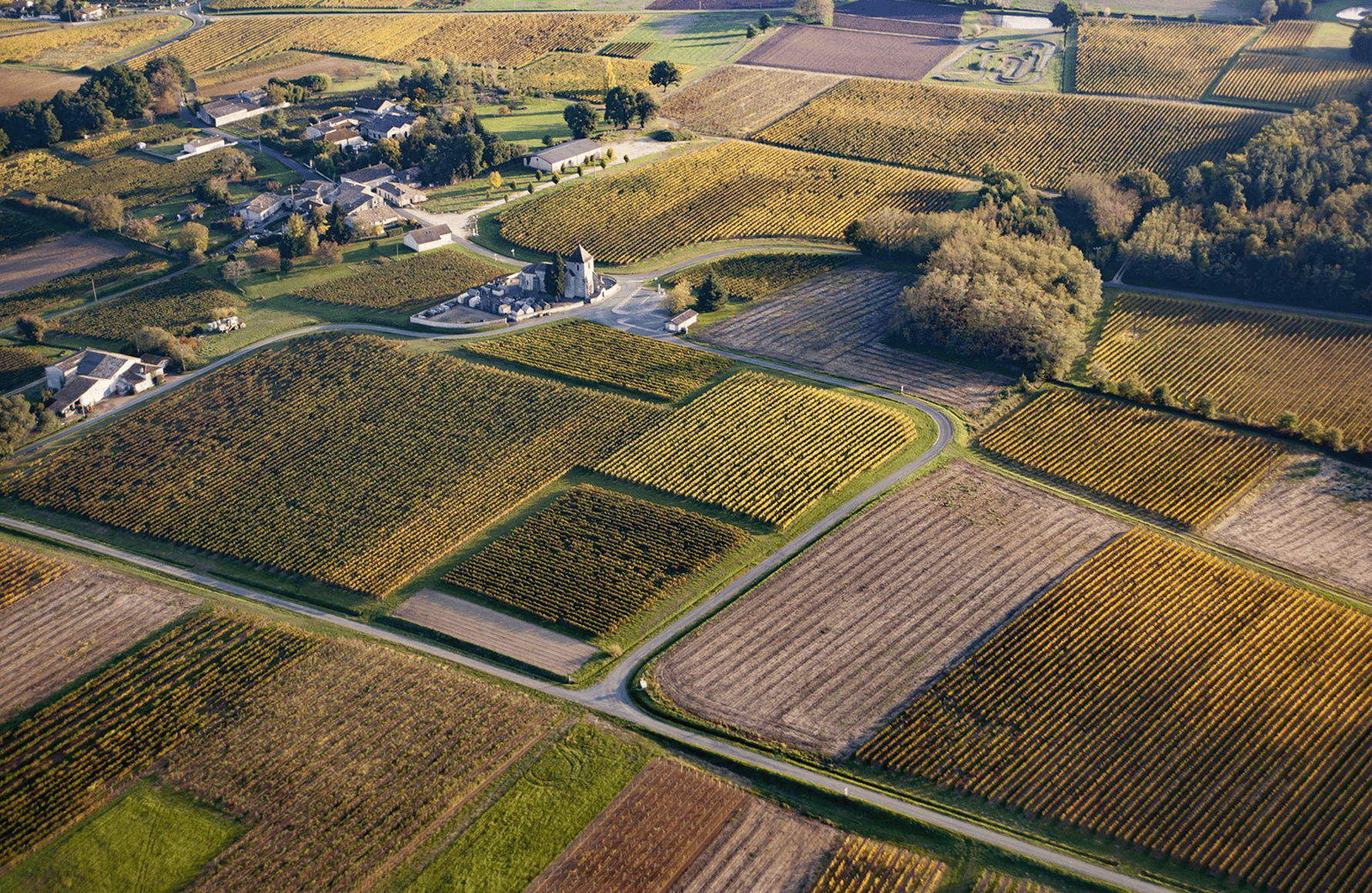 l’histoire du Château Joanin Bécot