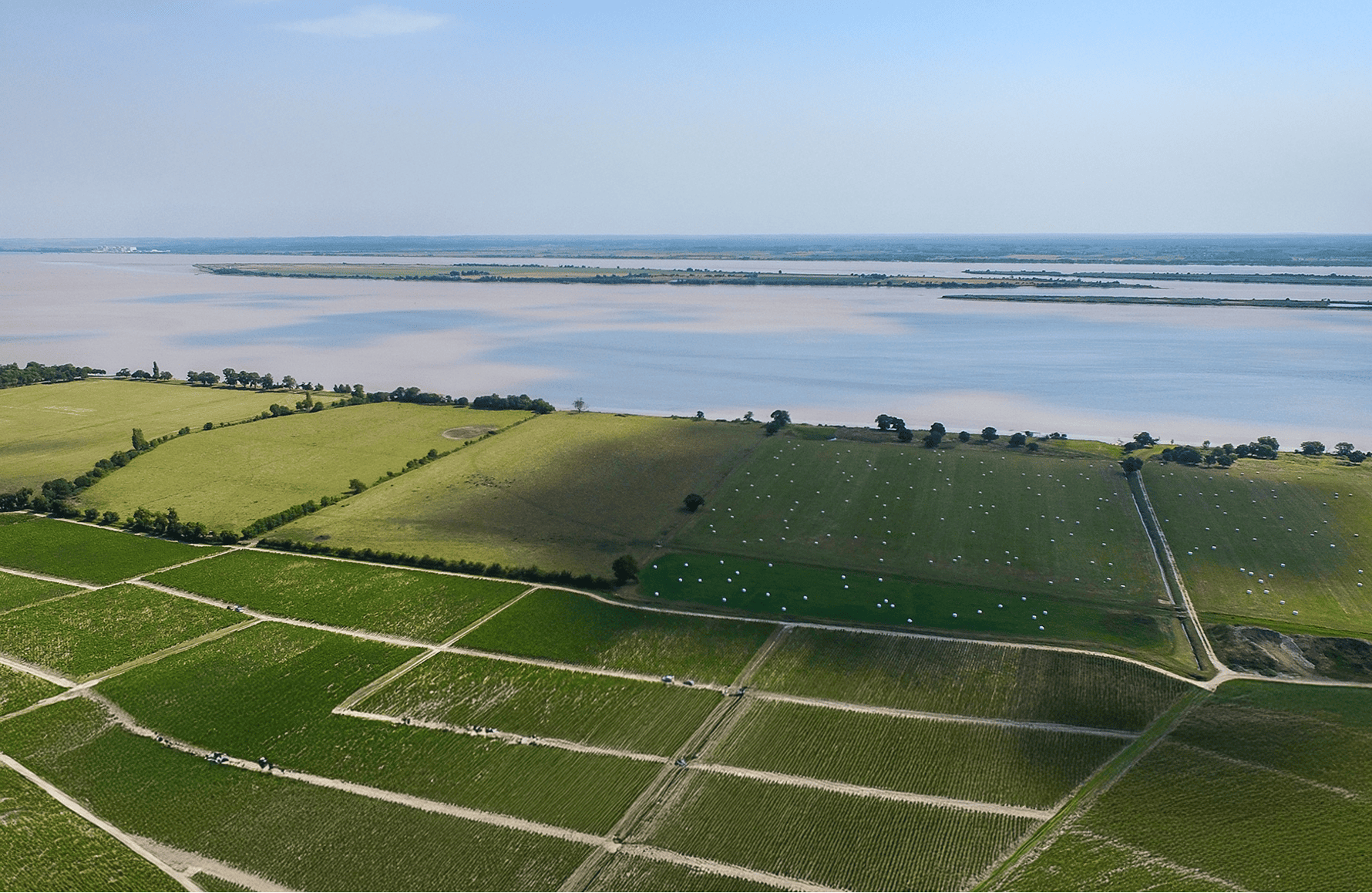 the story of Château Léoville Las Cases