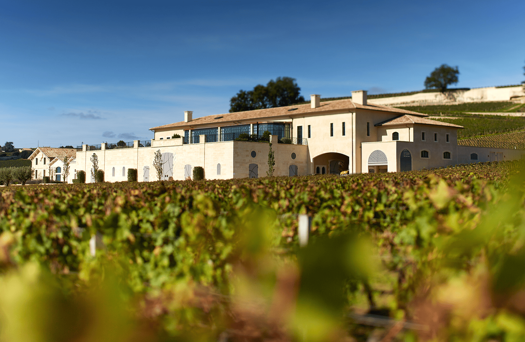 l’histoire du Château Pavie Decesse