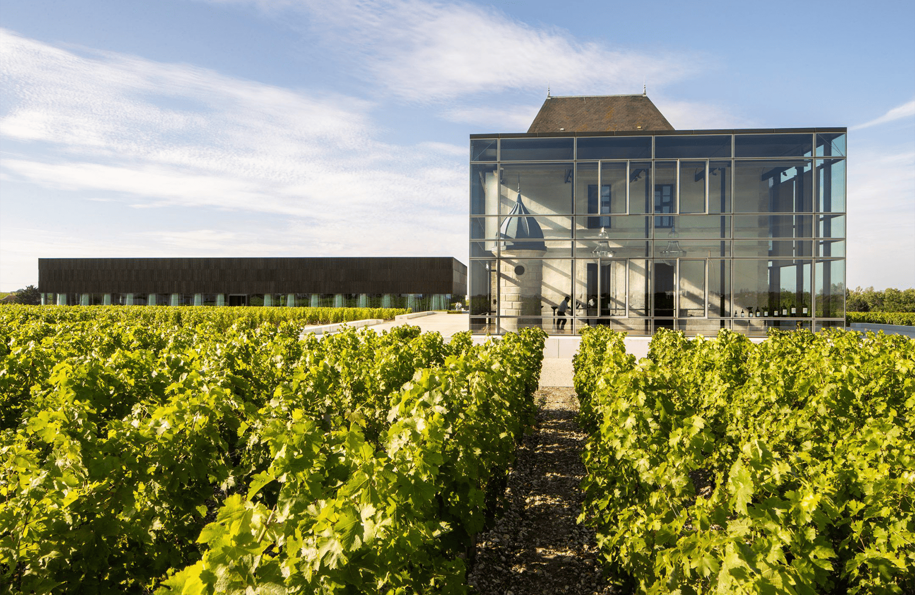 the story of Pedesclaux Castle