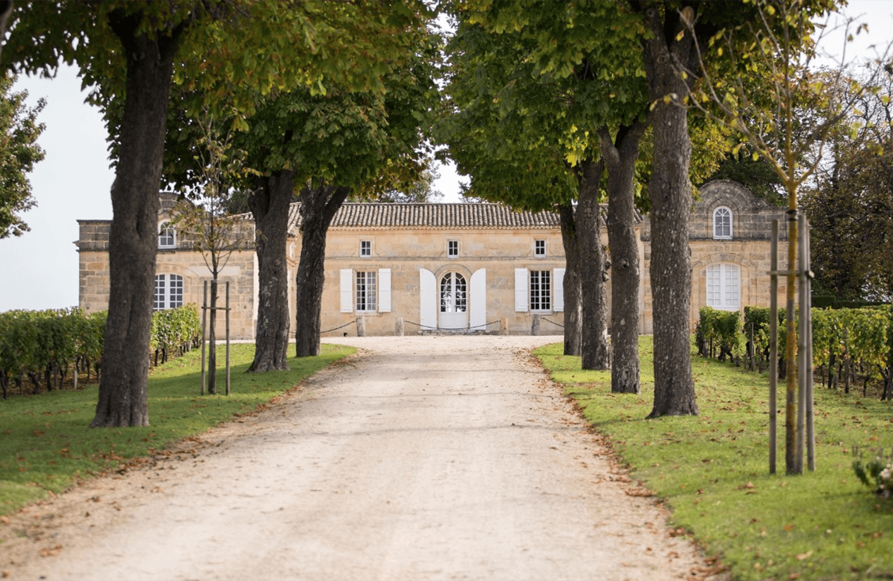 the story of Old Trotter Castle