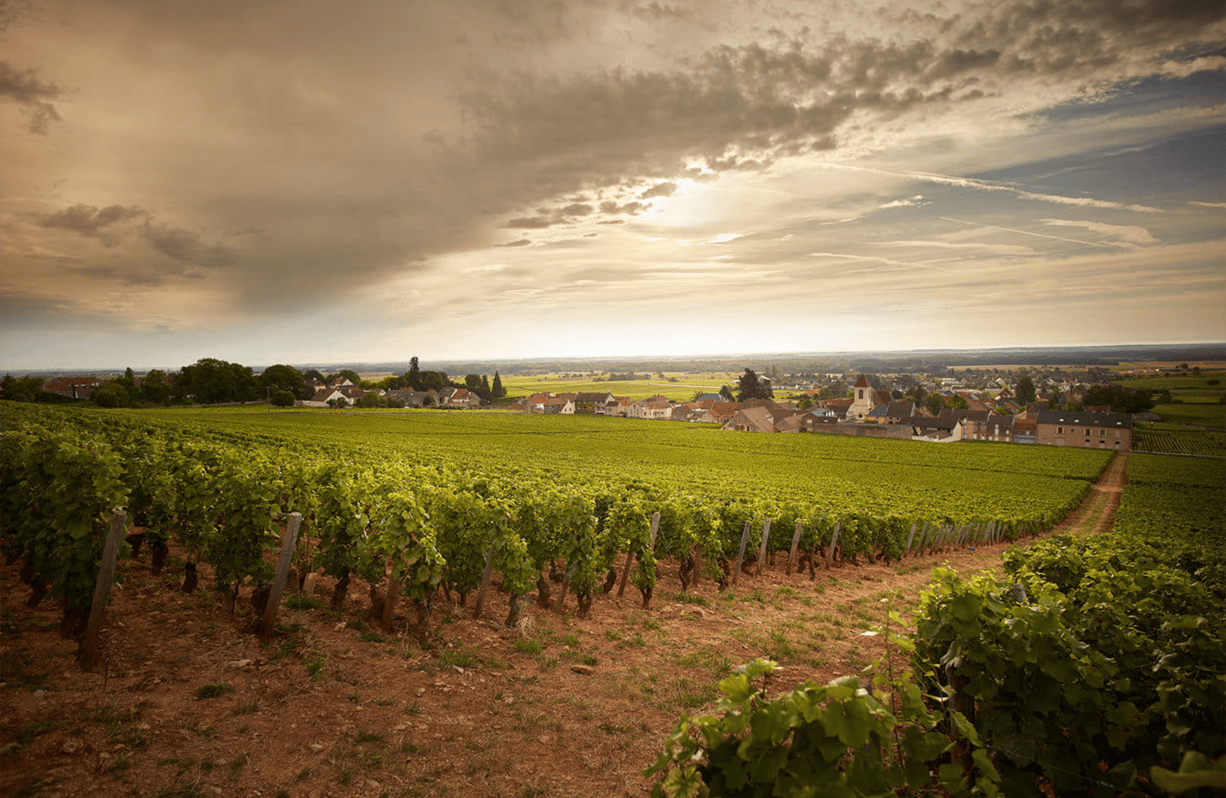 l’histoire du Clos de Tart