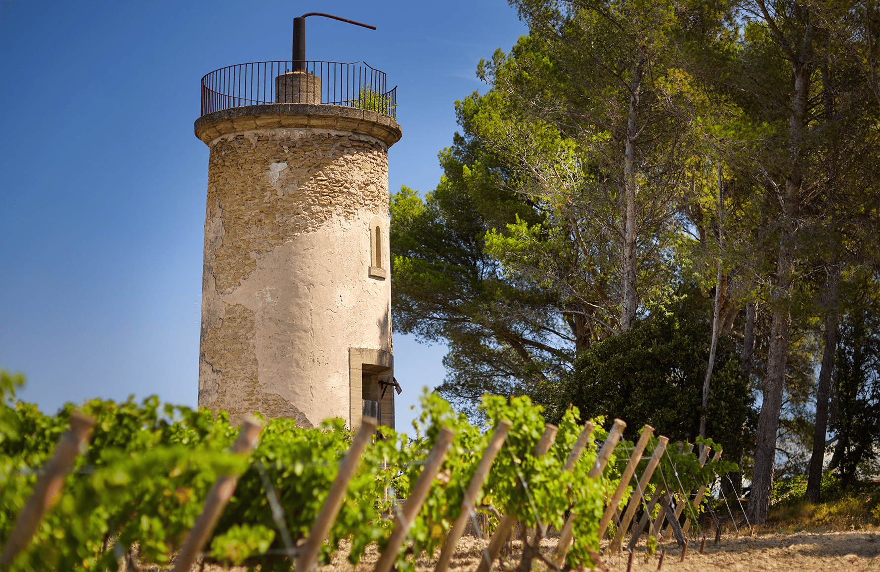 the story of Le Clos du Caillou
