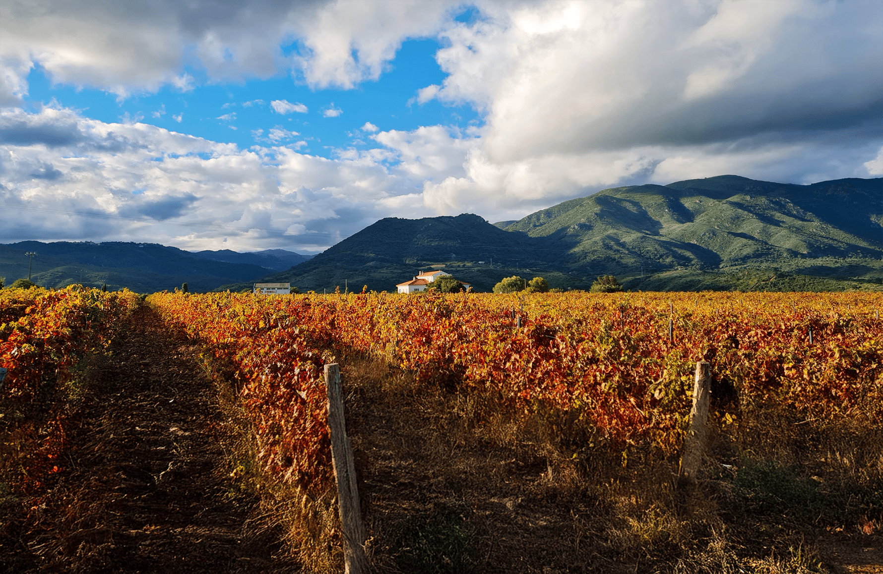 l’histoire du Clos Fornelli