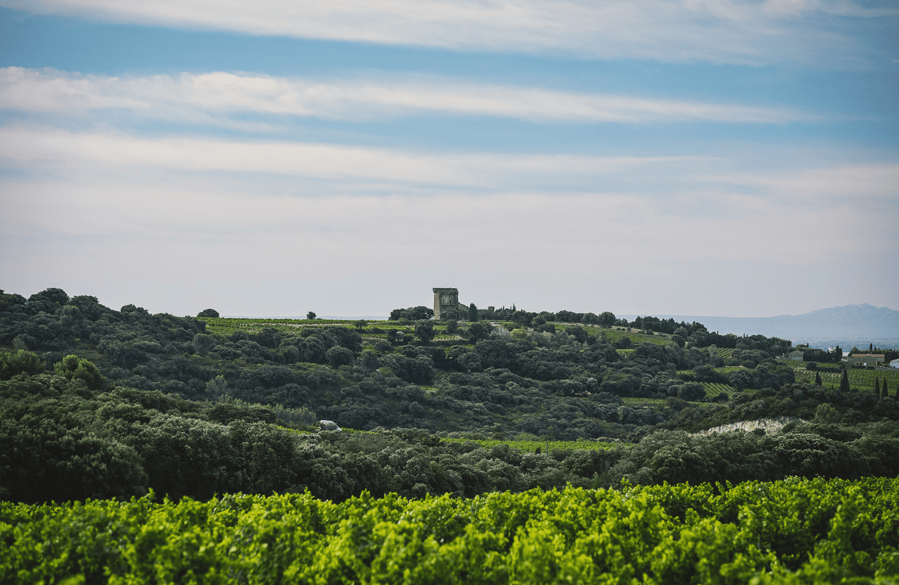 the story of Clos Saint-Jean