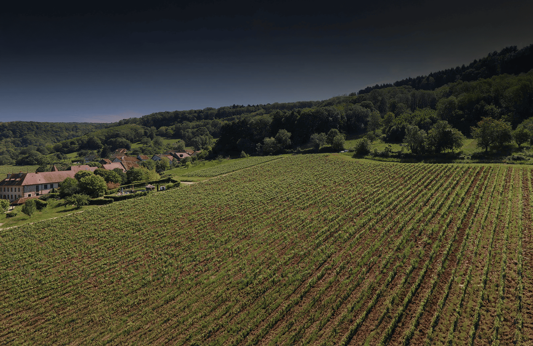 the story of Pelican Estate