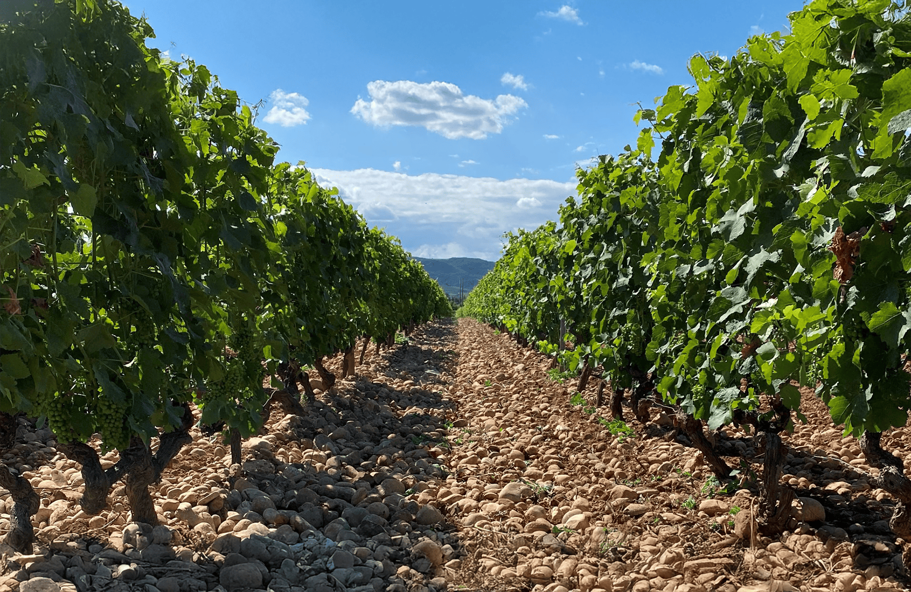 l’histoire du Domaine des Hauts-Châssis