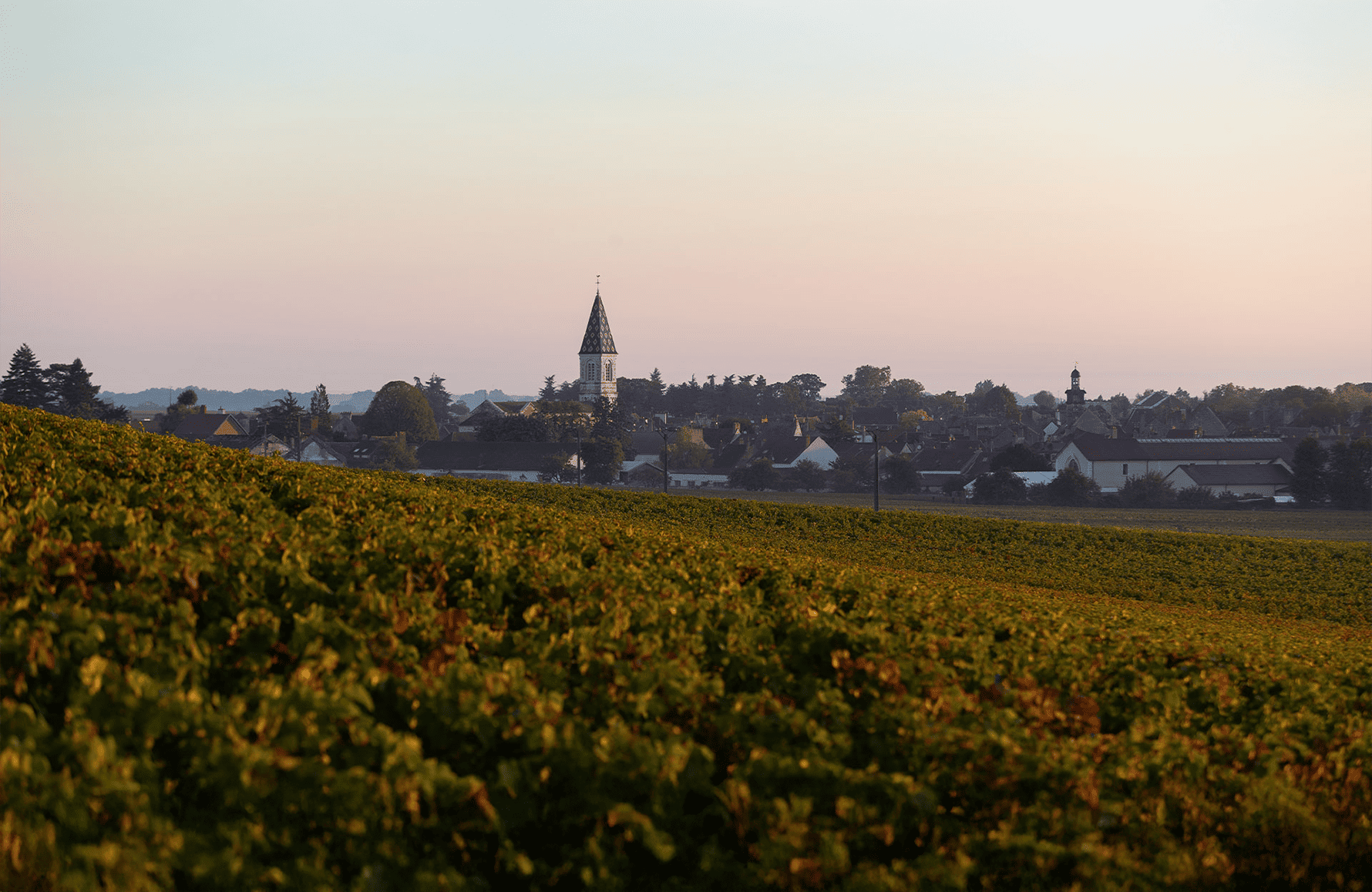 the story of Henri Gouges Estate