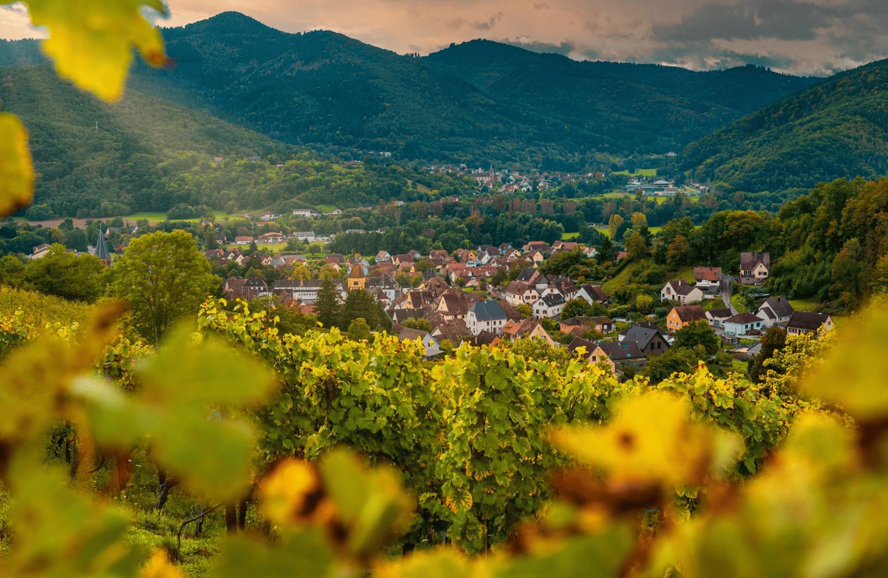 l’histoire du Schoenheitz