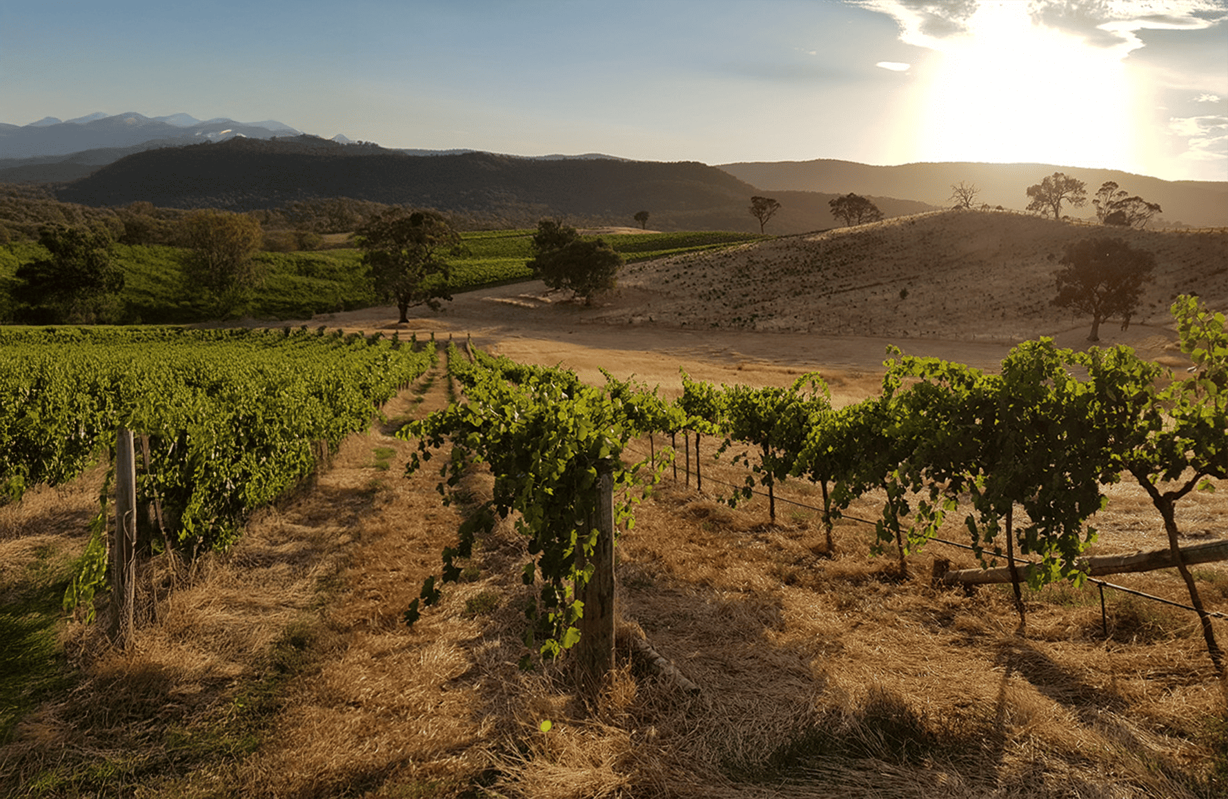 the story of Dos Lusiadas - Portugal