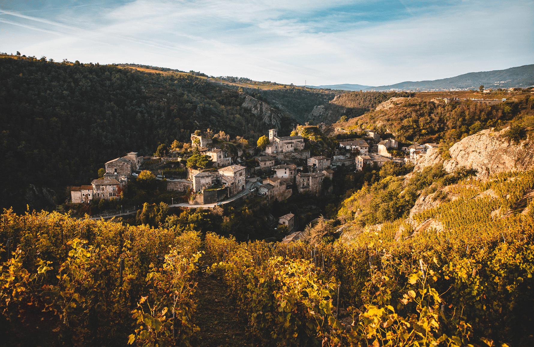 the story of Domaine Pierre Gaillard