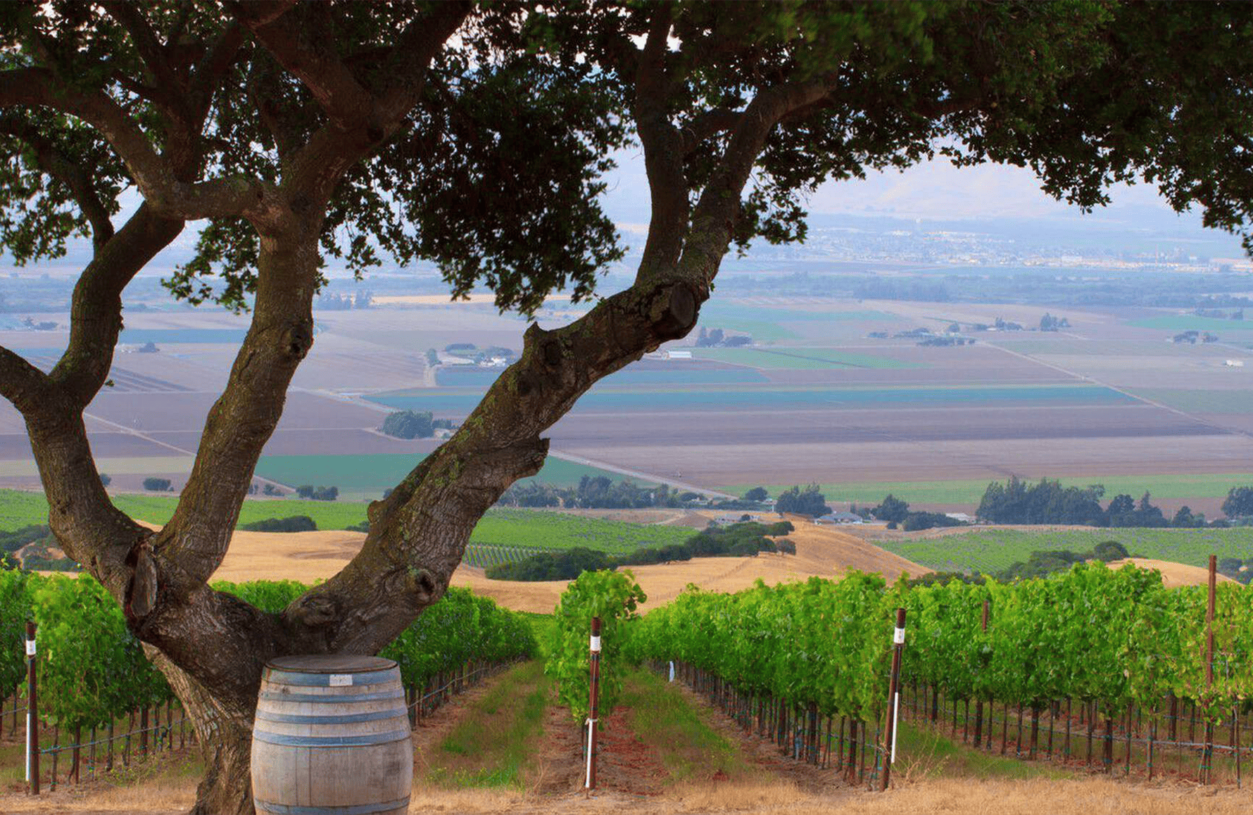l’histoire du Hahn Family Wines - Etats-Unis