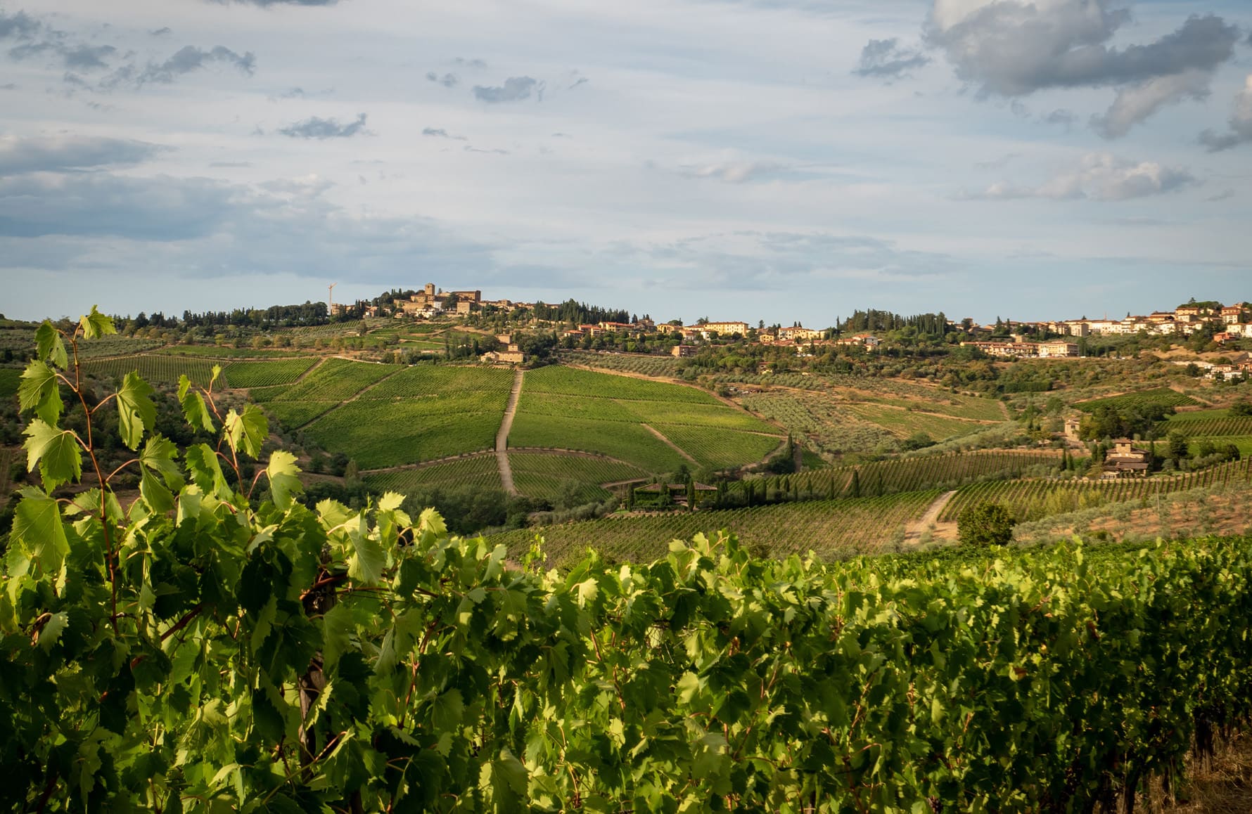 the story of Gaja - Italy