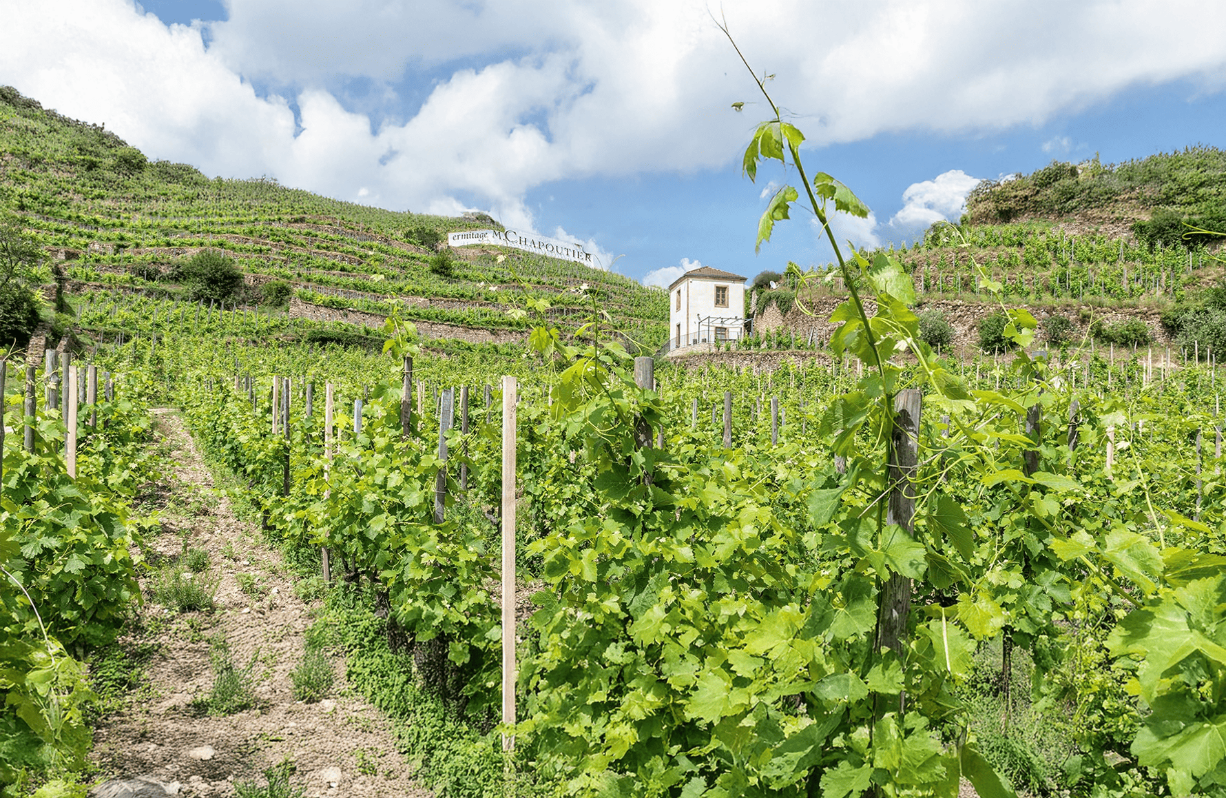 the story of Mr. Chapoutier