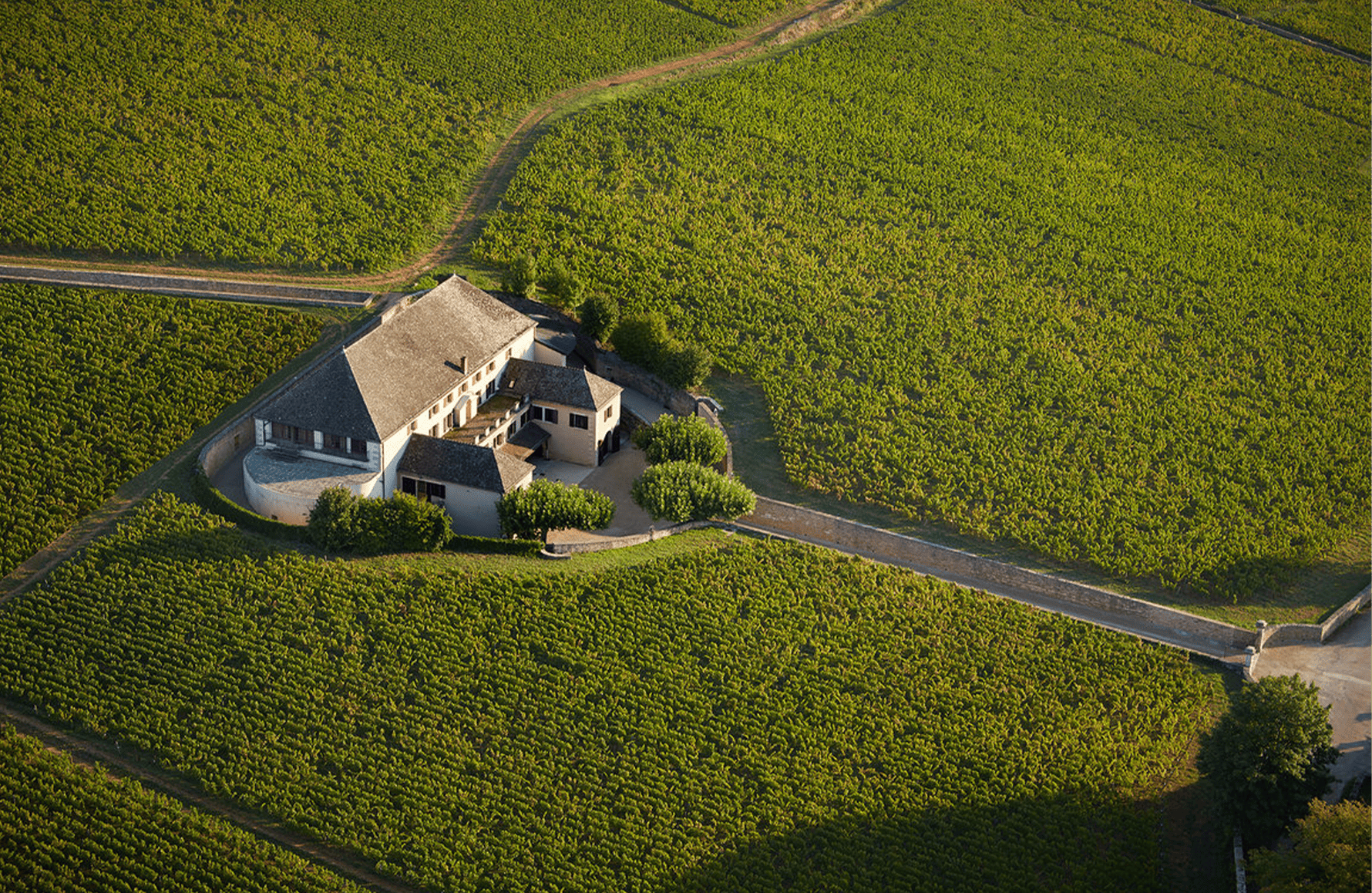 l’histoire du Maison Louis Latour