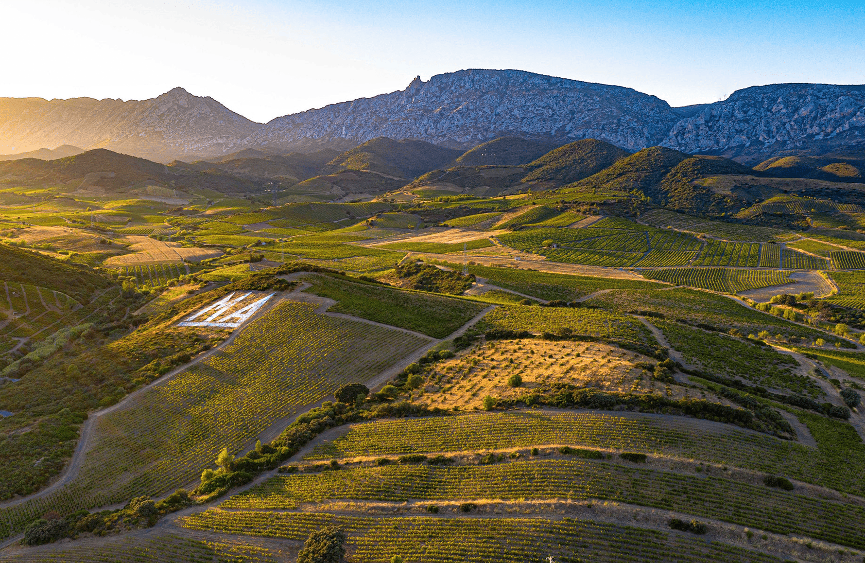l’histoire du Mas Amiel