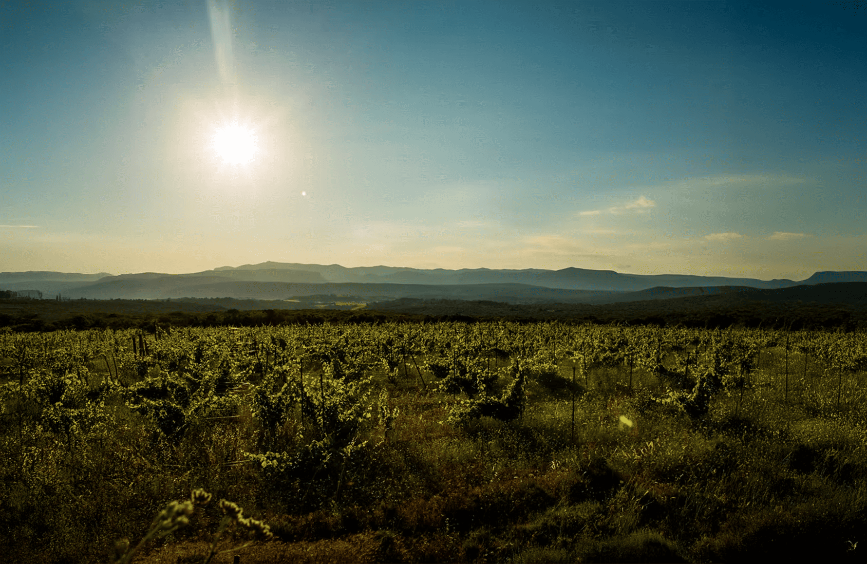 l’histoire du Mas des Agrunelles