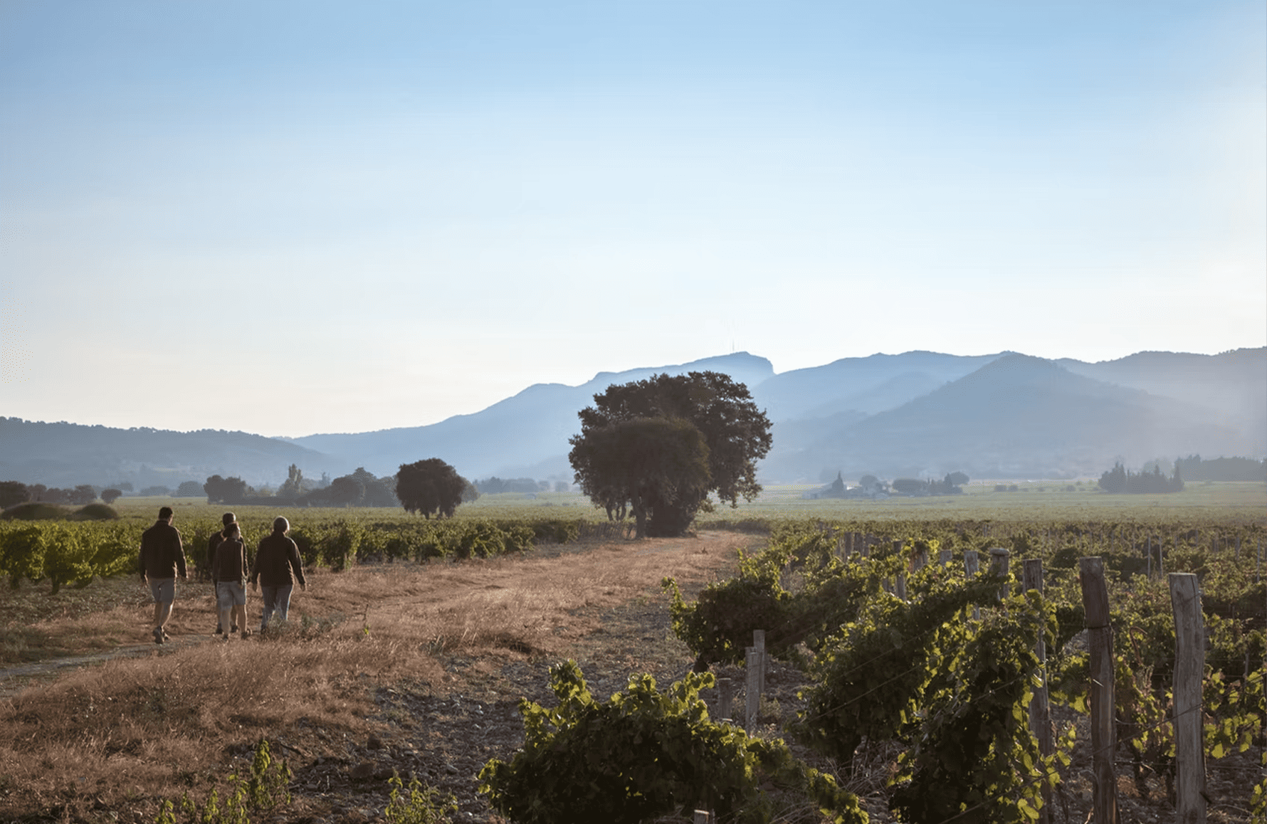 l’histoire du Montirius