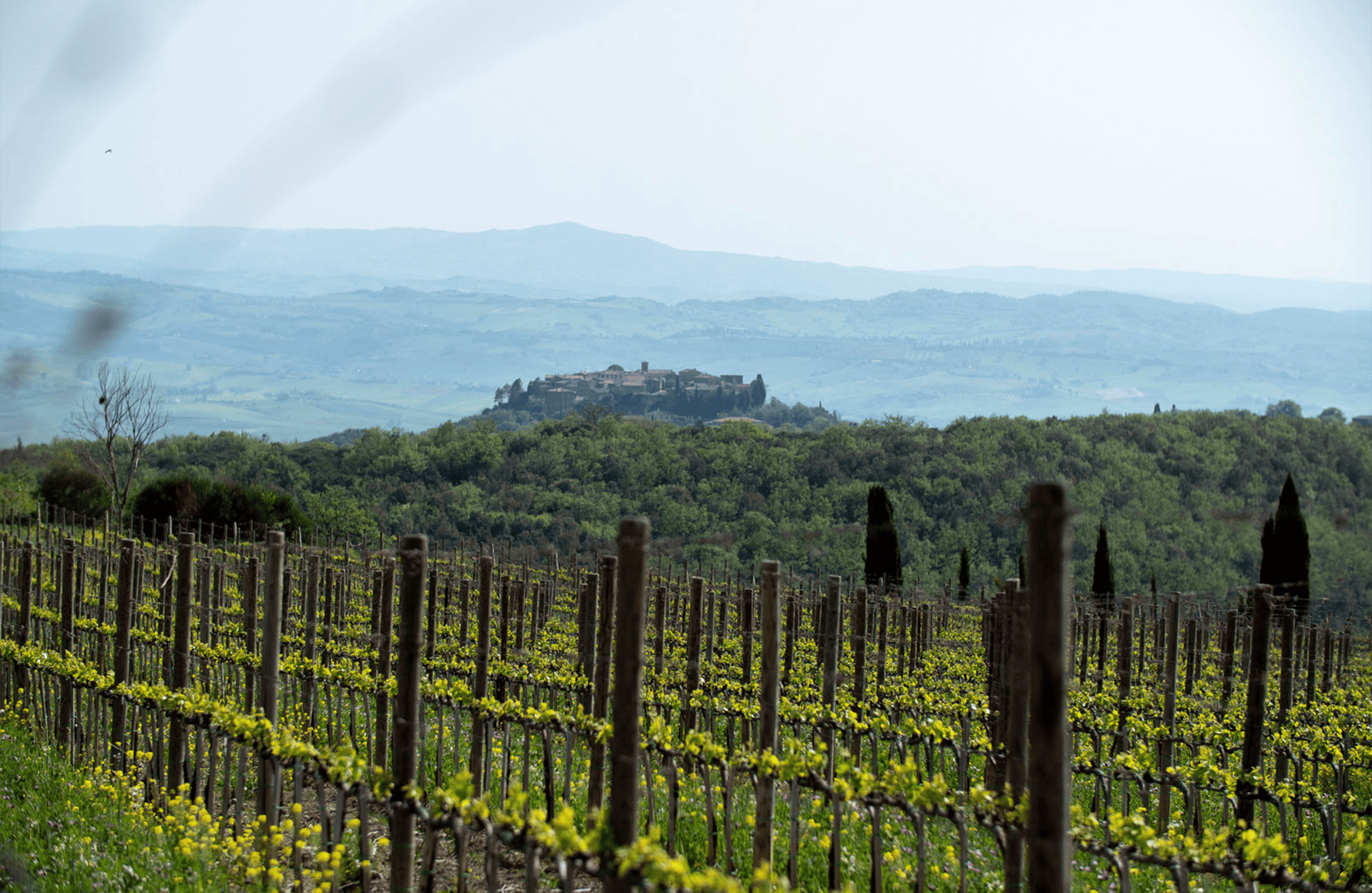 the story of Poggio Antico - Italy