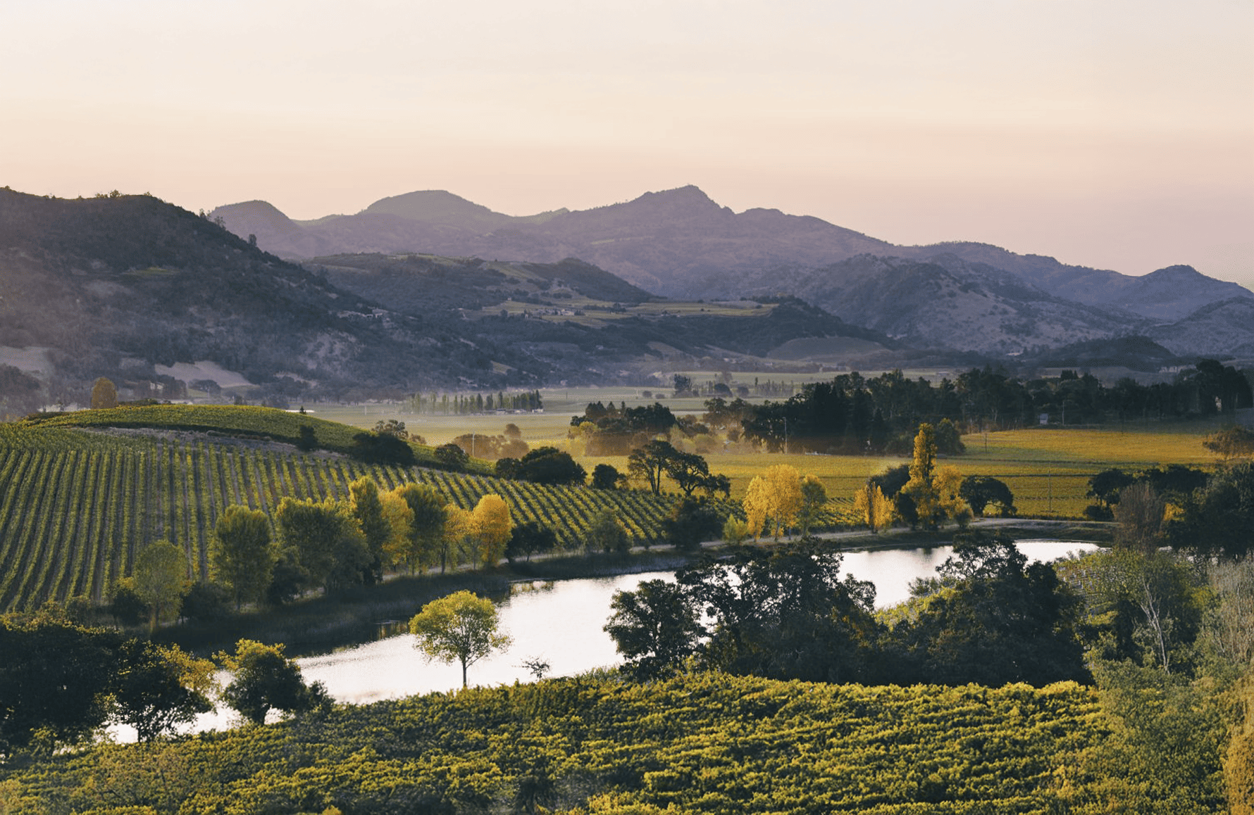 l’histoire du Quintessa Etats-Unis