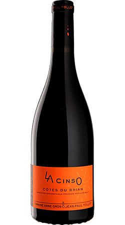 Domaine Anne Gros et Jean-Paul Tollot - La CinsO 2022 - Côtes du Brian (IGP)